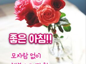 마음의 안식을 주는 50가지